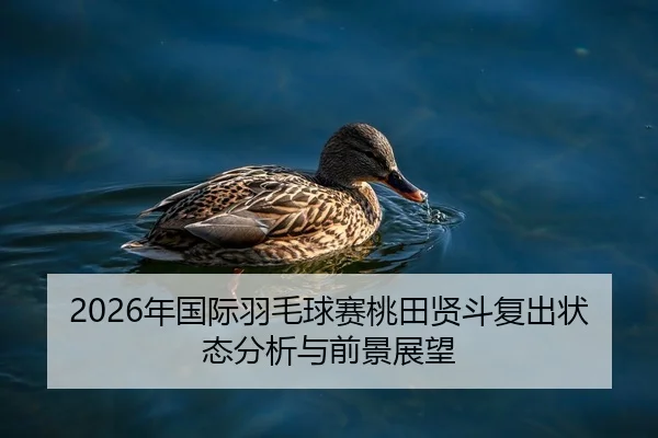 nian-guo-ji-yu-mao-qiu-sai-tao-tian-xian-dou-fu-chu-zhuang-tai-fen-xi-yu-qian-jing-zhan-wang-2-178.jpg