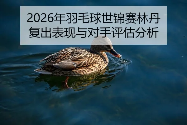 2026年羽毛球世锦赛林丹复出表现与对手评估分析
