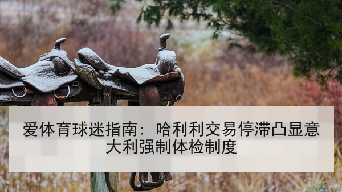 爱体育球迷指南: 哈利利交易停滞凸显意大利强制体检制度 爱体育球迷指南: 哈利利交易停滞凸显意大利强制体检制度