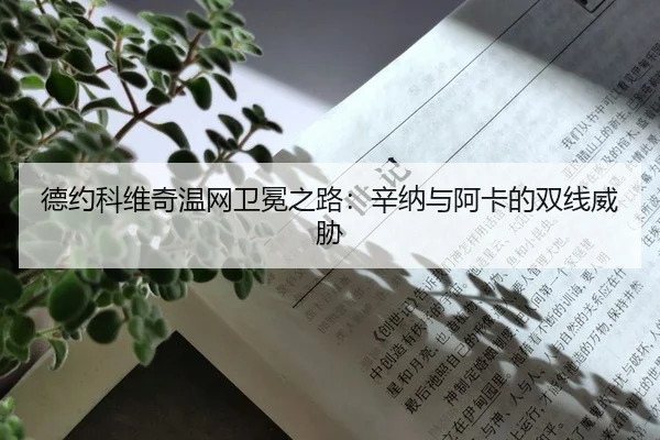 de-yue-ke-wei-qi-wen-wang-wei-mian-zhi-lu-xin-na-yu-a-ka-de-shuang-xian-wei-xie-2-891.jpg
