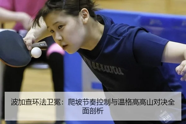 bo-jia-cha-huan-fa-wei-mian-pa-po-jie-zou-kong-zhi-yu-wen-ge-gao-gao-shan-dui-jue-quan-mian-pou-xi-2-887.jpg