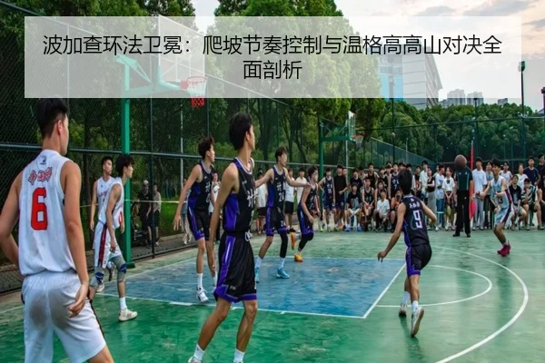 波加查环法卫冕：爬坡节奏控制与温格高高山对决全面剖析