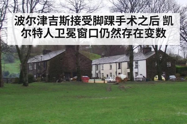 波尔津吉斯接受脚踝手术之后 凯尔特人卫冕窗口仍然存在变数